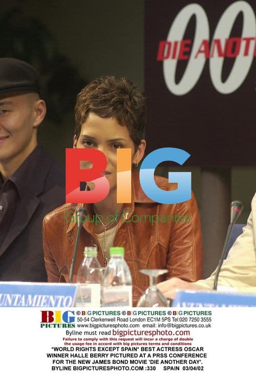 Halle Berry at Die Another Day press conference