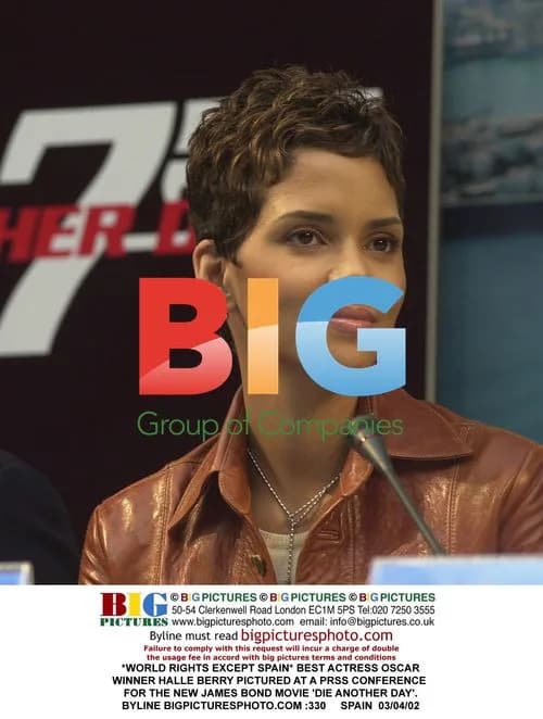 Halle Berry at Die Another Day Press Conference