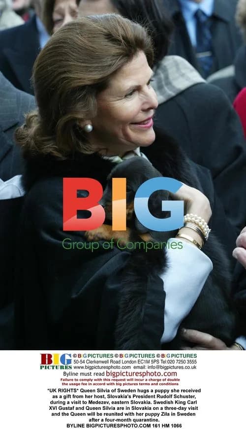 Queen Silvia hugs puppy received as gift in Slovakia
