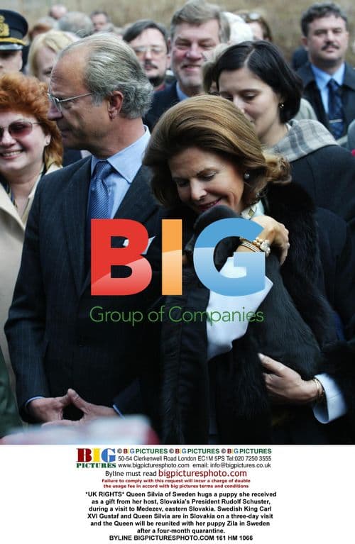 Queen Silvia of Sweden hugs puppy gift