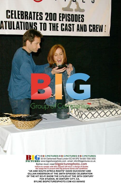 David Duchovny and Gillian Anderson at X-Files 200th