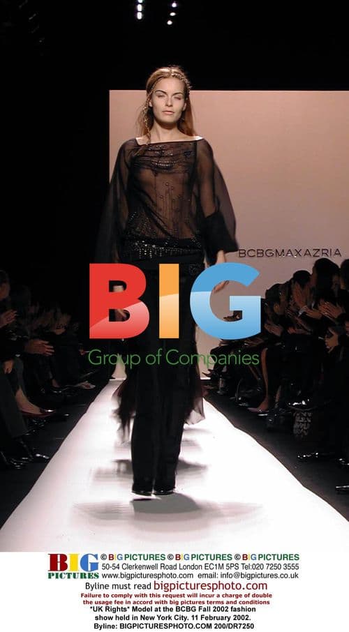 Model at BCBG Fall 2002 Fashion Show