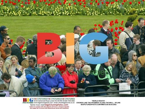 Crowds line The Mall in London