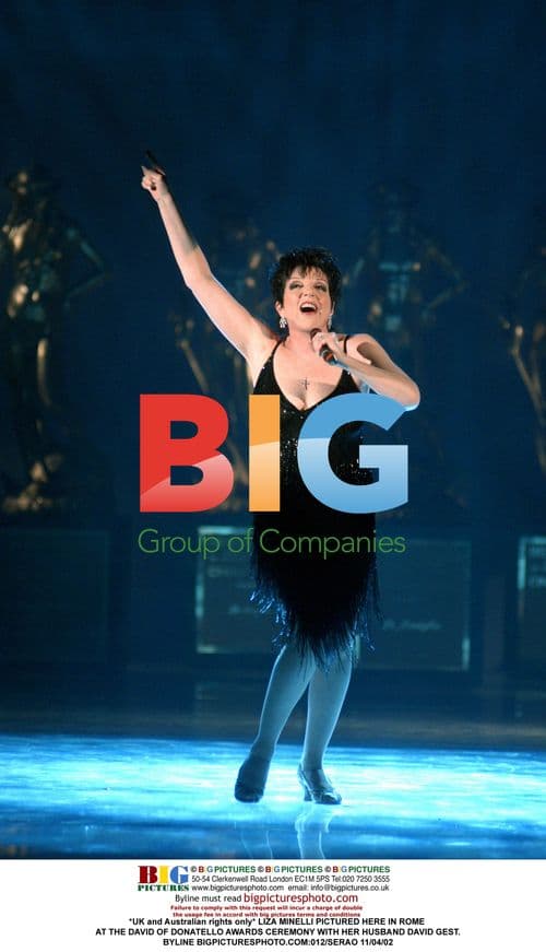 Liza Minelli at David of Donatello Awards in Rome