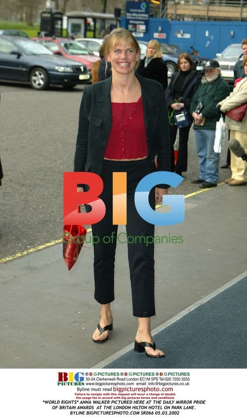 ANNA WALKER at Daily Mirror Pride of Britain Awards