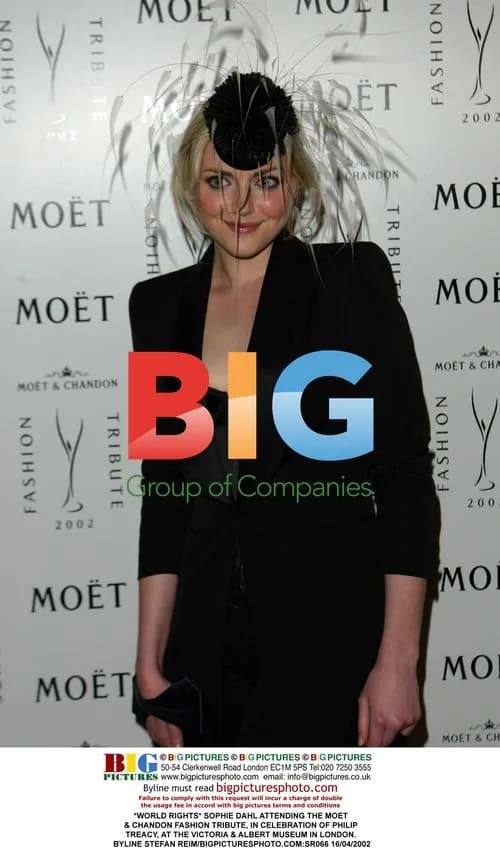 Sophie Dahl at Moet & Chandon Fashion Tribute