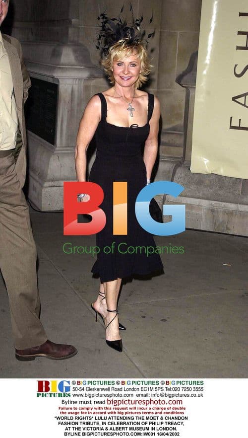 Lulu at Moet & Chandon Fashion Tribute