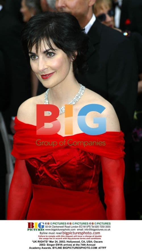 ENYA at the 74th Annual Academy Awards