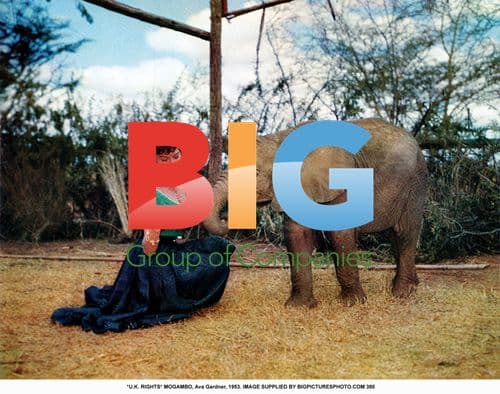 Ava Gardner in "Mogambo", 1953