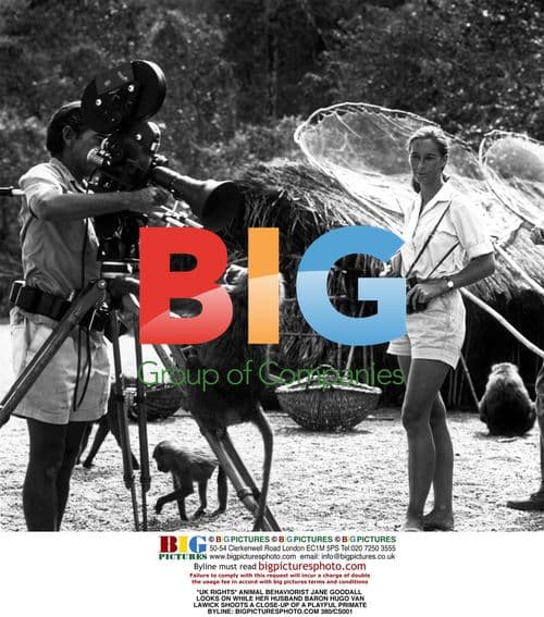 Jane Goodall and Baron Hugo Van Lawick