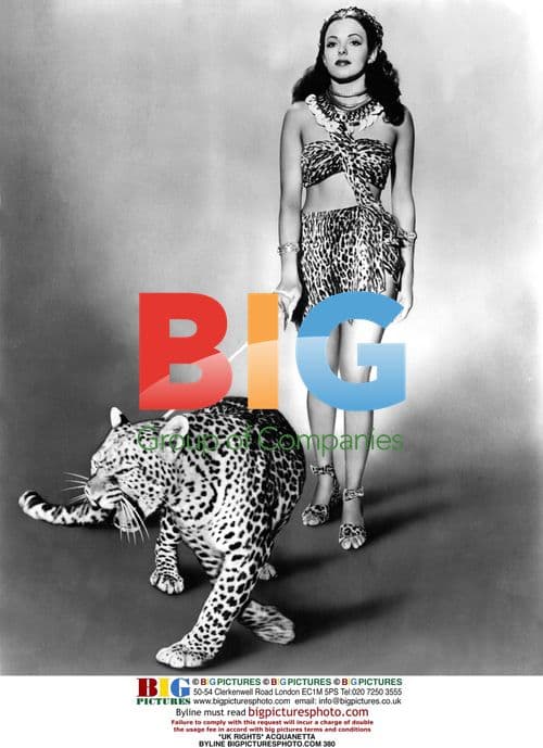 Cheetah-print outfit and tribal jewelry