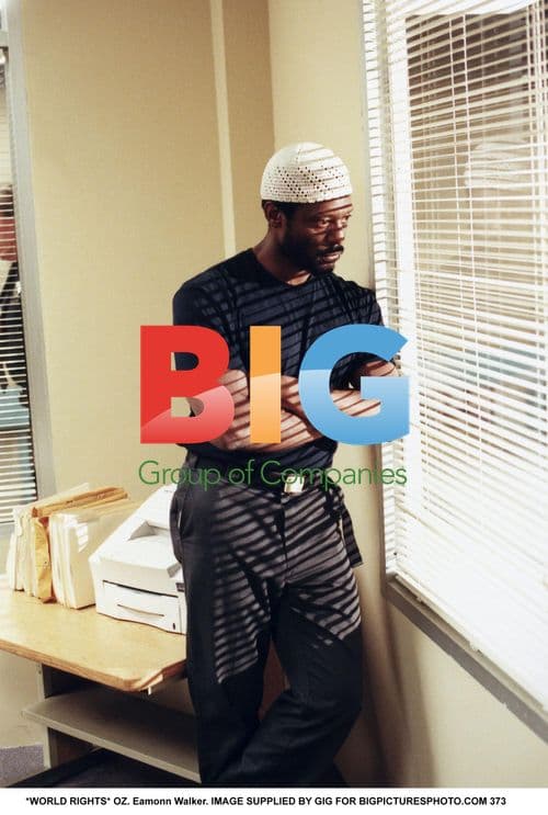 Eamonn Walker in TV series OZ