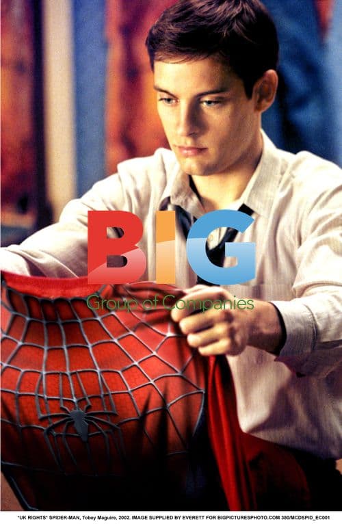 Tobey Maguire as Spider-Man