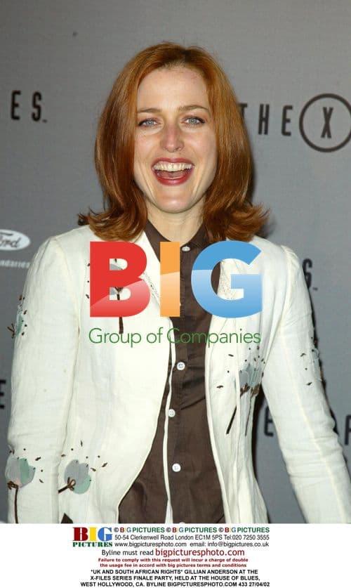 Gillian Anderson at X-Files Finale Party