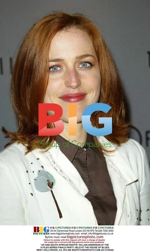 Gillian Anderson at X-Files Finale Party