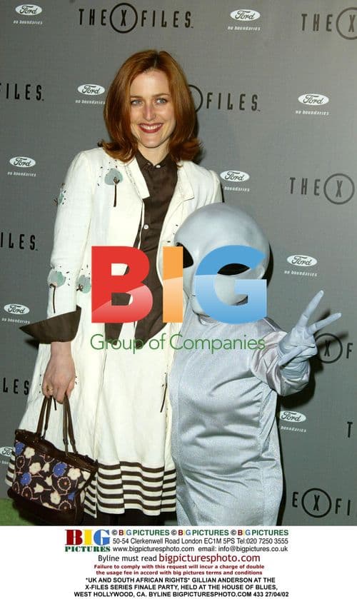 Gillian Anderson at X-Files Finale Party