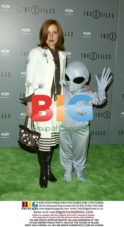 Gillian Anderson at X-Files Series Finale Party