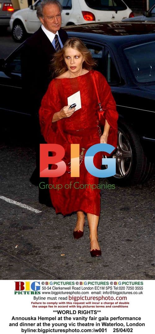 Annouska Hempel at the Vanity Fair Gala