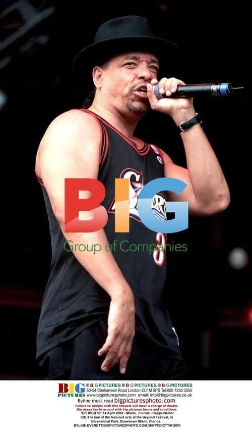 Ice-T Performs at Beyond Festival