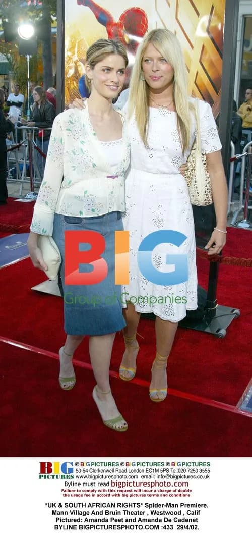 Spider-Man Premiere in Westwood, CA