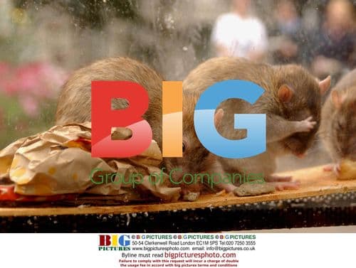 Actress Hanna Elman in "Keep Britain Tidy" Ad