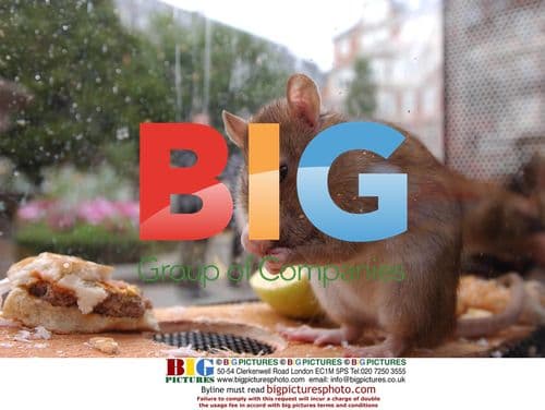 Actress Hanna Elman in 'Keep Britain Tidy' Ad