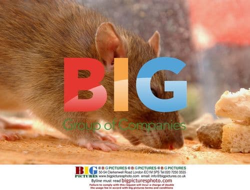 Actress Hanna Elman in "Keep Britain Tidy" Ad