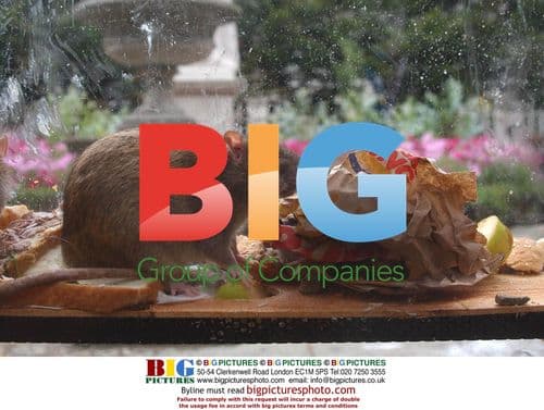 Actress Hanna Elman in "Keep Britain Tidy" Ad