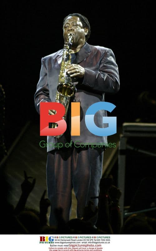 Clarence Clemmons on stage at Springsteen's Rising Tour