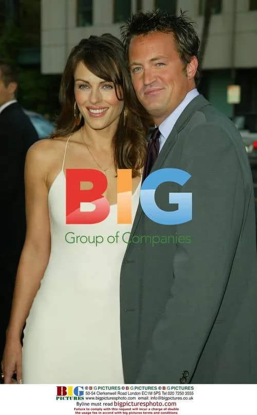 Elizabeth Hurley and Mattew Perry at 'Serving Sara' premiere