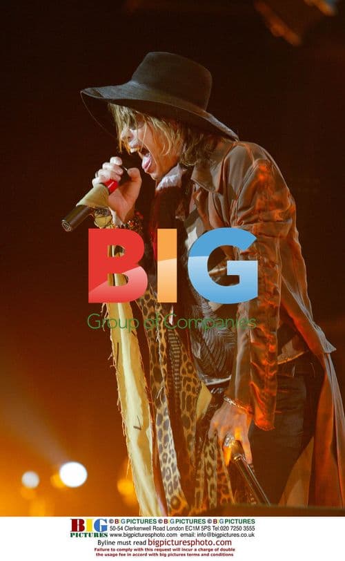 Steven Tyler of Aerosmith performs