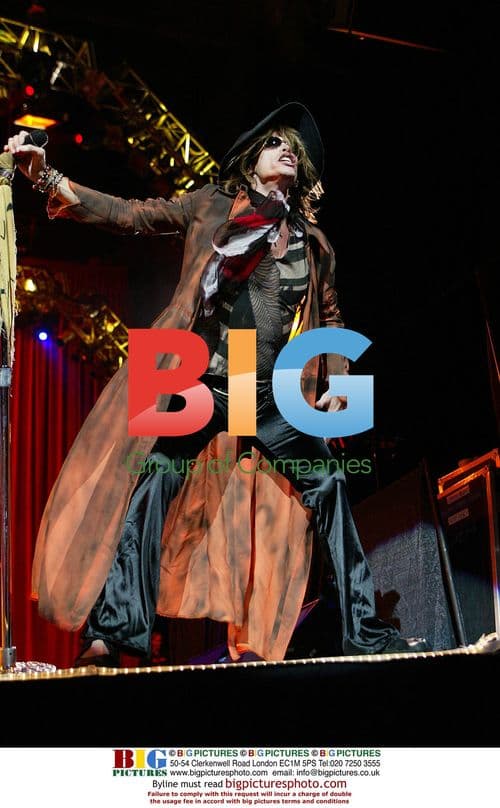 Steven Tyler of Aerosmith performs