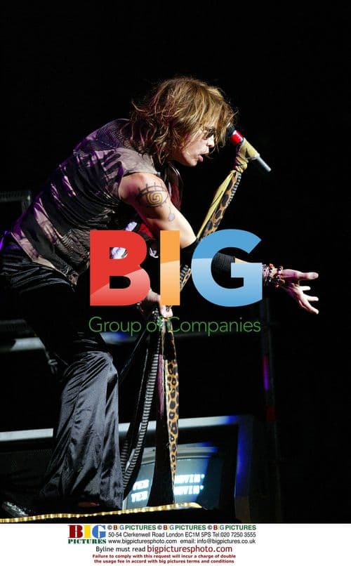 Steven Tyler of Aerosmith performs at Nissan Pavillion