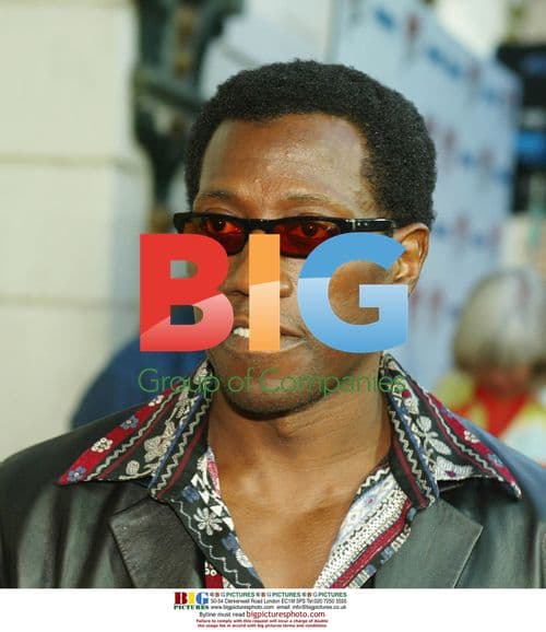 Wesley Snipes at 'Undisputed' Premiere