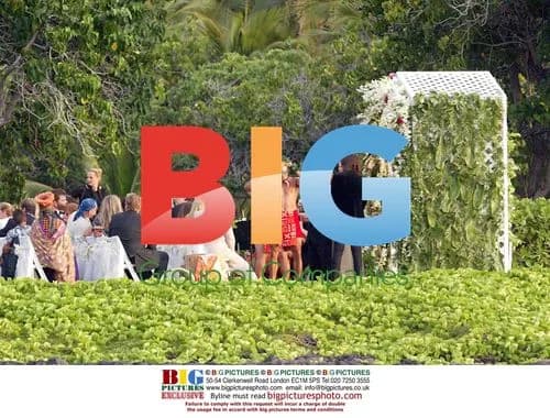 Lisa Marie Presley and Nicolas Cage's Hawaii Wedding