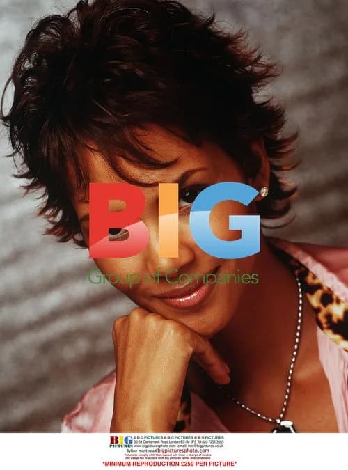 Halle Berry at 'Die Another Day' Press Tour