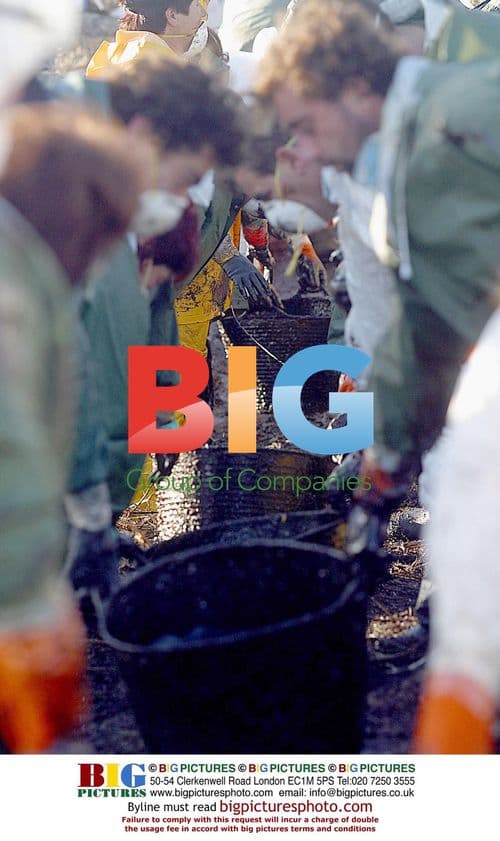 Oil Cleanup After Prestige Tanker Sank