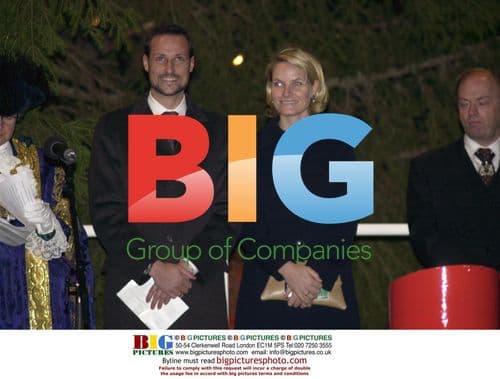 Norwegian Royals Light Christmas Tree