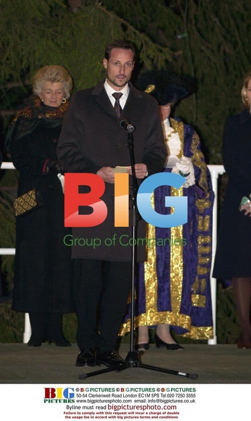 Norway Royals Light London Christmas Tree