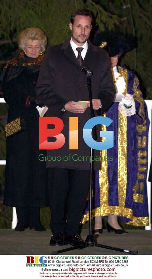 Norway Christmas Tree Lighting in London