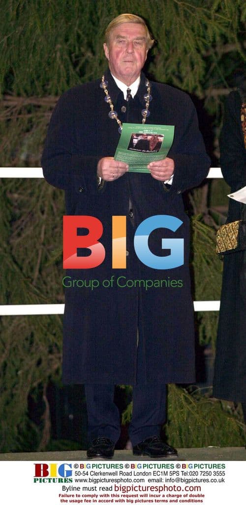 Norway Crown Prince Lights Christmas Tree in London