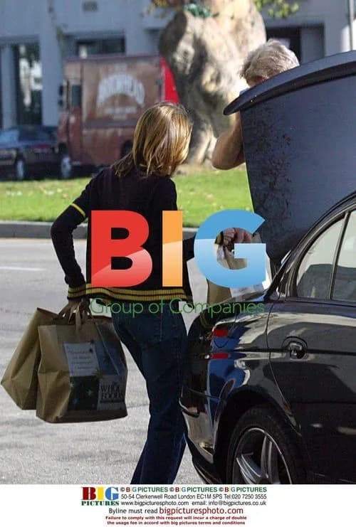 Harrison Ford and Calista Flockhart out shopping