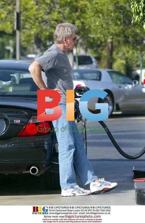 Harrison Ford and Calista Flockhart Shopping