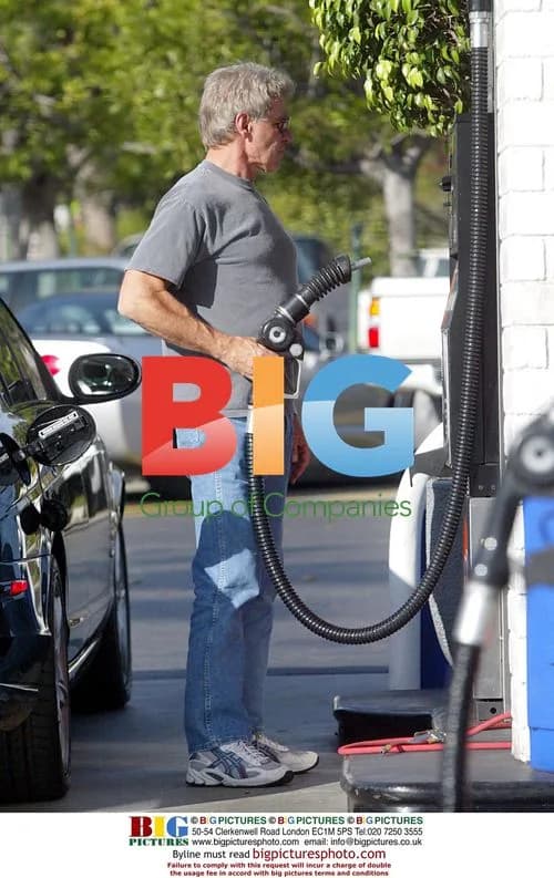 Harrison Ford and Calista Flockhart out shopping