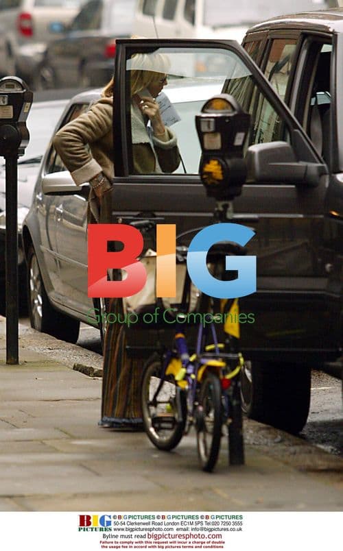 Singer LULU out shopping in London