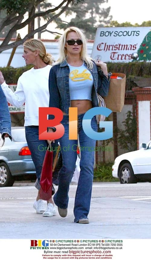 Pamela Anderson Christmas Shopping