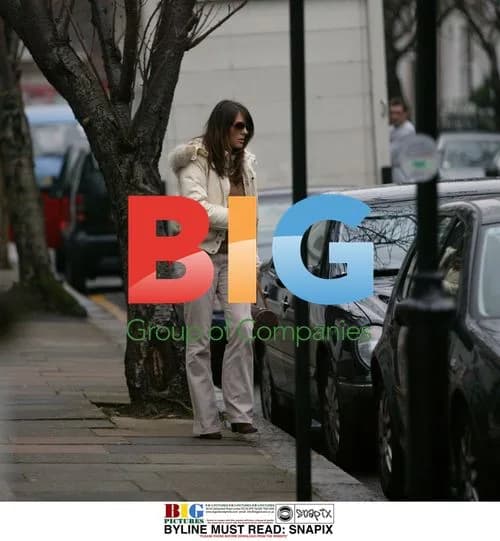 Liz Hurley returns home from shopping in London