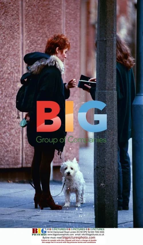 Lulu Walks Dog in London