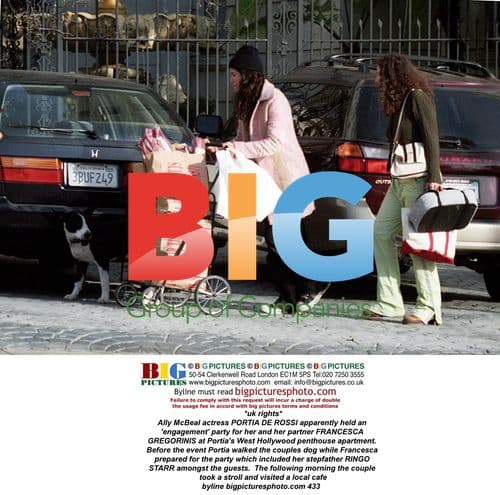 Portia de Rossi's Apparent Engagement Party