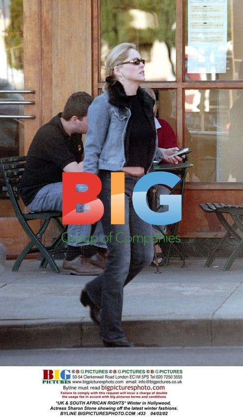 Sharon Stone Showcases Winter Fashion